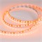 Лента RT-A120-8mm 12V Orange (9.6 W/m, IP20, 2835, 5m) (Arlight, -) 015902(2) - фото 101311