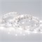 Лента RT 2-5000 12V Day4000 (5060, 150 LED, LUX) (Arlight, 7.2 Вт/м, IP20) 011570(B) - фото 101511