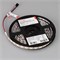 Лента SPI-B60-10mm 12V Day4000-PX1-RAM (9.3 W/m, IP20, 5060, 5m) (Arlight, бегущий огонь) 037828 - фото 101720