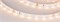 Лента RT 2-5000 24V Warm2700 (3528, 300 LED, CRI98) (Arlight, 4.8 Вт/м, IP20) 021414(1) - фото 102087