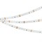 Лента RT-A60-8mm 12V Pink (4.8 W/m, IP20, 2835, 5m) (Arlight, 4.8 Вт/м, IP20) 013571(2) - фото 102279