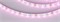 Лента RT-A60-8mm 12V Pink (4.8 W/m, IP20, 2835, 5m) (Arlight, 4.8 Вт/м, IP20) 013571(2) - фото 102280
