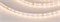 Лента RT-A80-8mm 24V Warm2400 (6 W/m, IP20, 2835, 5m) (Arlight, высок.эфф.150 лм/Вт) 028526(2) - фото 102517
