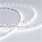 Светодиодная лента RT-A120-5mm 12V White6000 (9.6 W/m, IP20, 2835, 5m) (Arlight, 9.6 Вт/м, IP20) 014992(2) - фото 102681