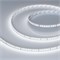 Лента RT-A160-8mm 24V White6000 (12 W/m, IP20, 2835, 5m) (Arlight, высок.эфф.150 лм/Вт) 024534(2) - фото 102698