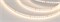 Лента RT-A128-8mm 24V Warm2700 (9.6 W/m, IP20, 2835, 5m) (Arlight, высок.эфф.150 лм/Вт) 038759 - фото 103099