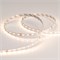 Лента RT-A80-8mm 24V Warm2700 (6 W/m, IP20, 2835, 50m) (Arlight, 6 Вт/м, IP20) 024526(2) - фото 103215