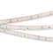 Светодиодная лента герметичная RTW-PS-A60-10mm 12V Warm3000 (4.8 W/m, IP67, 2835, 5m) (Arlight, 4.8 Вт/м, IP67) 021101(2) - фото 103220