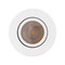 Светильник SP-FOCUS-R90-9W Warm White (Arlight, IP20 Металл, 3 года) 021064 - фото 103349