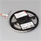 Лента RT-A120-8mm 12V Warm2400 (14.4 W/m, IP20, 2835, 5m) (Arlight, Открытый) 028571(2) - фото 103374