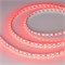 Лента RT-B72-10mm 12V RGB (15 W/m, IP20, 5060, 5m) (Arlight, 15 Вт/м, IP20) 016246(2) - фото 103832
