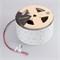 Лента S2-2500 24V White 6000K 85mm (2835, 560 LED/m, LUX) (Arlight, 40 Вт/м, IP20) 023408 - фото 104353