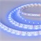 Лента RT-A60-8mm 12V Blue (4.8 W/m, IP20, 2835, 5m) (Arlight, 4.8 Вт/м, IP20) 010523(3) - фото 105304