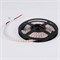 Лента MICROLED-5000 24V White6000 10mm (2110, 700 LED/m, LUX) (Arlight, 20 Вт/м, IP20) 027024 - фото 105480