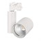 Светильник LGD-SHOP-4TR-R100-40W Warm SP2900-Meat (WH, 24 deg) (Arlight, IP20 Металл, 3 года) 026288 - фото 106330