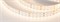 Лента RT 2-5000 24V Warm2700 2x2 (2835, 980 LED, LUX) (Arlight, 20 Вт/м, IP20) 019091(B) - фото 107242