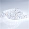 Лента RT 2-5000 24V Cool 8K 2x2 (3528, 1200 LED, LUX) (Arlight, 19.2 Вт/м, IP20) 013746(B) - фото 107537