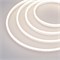 Образец Гибкий неон GALAXY-1206-5000CFS-2835-100 12V Day 0.5M (12x6mm, 12W, IP67) (Arlight, 12 Вт/м, IP67) 030968 - фото 108107