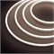 Образец Гибкий неон GALAXY-1206-5000CFS-2835-100 12V Day 0.5M (12x6mm, 12W, IP67) (Arlight, 12 Вт/м, IP67) 030968 - фото 108108