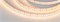 Лента MICROLED-M300-10mm 24V Warm2700 (21.6 W/m, IP20, 2216, 5m) (Arlight, 21.6 Вт/м, IP20) 023591(2) - фото 108191