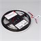 Лента MICROLED-M300-10mm 24V Warm2700 (21.6 W/m, IP20, 2216, 5m) (Arlight, 21.6 Вт/м, IP20) 023591(2) - фото 108194