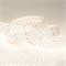 Лента RT 2-2500 24V Warm3000 4x2 (2835, 700 LED, CRI98) (Arlight, 30 Вт/м, IP20) 025160 - фото 108859