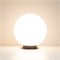 Светильник KT-GLOBE-R300-10W Warm3000 (DG, 275 deg, 24V) (Arlight, IP65 Металл, 3 года) 046170 - фото 109489