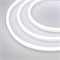Образец Гибкий неон GALAXY-1608-5000CFS-2835-100 12V White 0.5M (16x8mm, 12W, IP67) (Arlight, 12 Вт/м, IP67) 030978 - фото 110145