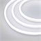 Образец Гибкий неон GALAXY-1608-5000CFS-2835-100 12V White 0.5M (16x8mm, 12W, IP67) (Arlight, 12 Вт/м, IP67) 030978 - фото 110147