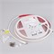 Лента герметичная RTW-PSW-A308-12mm 24V Day4000 (14 W/m, IP67, 2835, 5m) (Arlight, 5 лет) 045293 - фото 112289