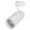 Светильник LGD-GERA-2TR-R74-20W Day4000 (WH, 24 deg, 230V) (Arlight, IP20 Металл, 5 лет) 025910(1) - фото 113014