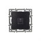 Механизм компьютерной розетки SCT-MPC1-PL-BK (RJ-45, CAT6) (Arlight, -) 045334 - фото 113830