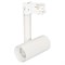 Светильник SP-POLO-TRACK-PIPE-R65-8W Day4000 (WH-WH, 40 deg) (Arlight, IP20 Металл, 3 года) 027486 - фото 114054