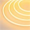Образец Гибкий неон GALAXY-1206-5000CFS-2835-100 12V Yellow 0.5M (12x6mm, 12W, IP67) (Arlight, 12 Вт/м, IP67) 030962 - фото 114406