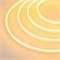 Образец Гибкий неон GALAXY-1206-5000CFS-2835-100 12V Yellow 0.5M (12x6mm, 12W, IP67) (Arlight, 12 Вт/м, IP67) 030962 - фото 114408