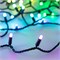 Светодиодная гирлянда ARD-STRING-CLASSIC-10000-BLACK-95LED-MILK-LIVE RGBW-DMX (24V, 10W) (Ardecoled, IP65) 031747 - фото 115715