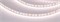 Лента MICROLED-M240-8mm 24V White-MIX (19.2 W/m, IP20, 2216, 5m) (Arlight, Изменяемая ЦТ) 024504(2) - фото 116929