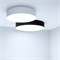 Светильник IM-FLOWER-EMERGENCY-3H-R410-32W Day4000-MIX (BK, 110 deg, 230V) (Arlight, IP54 Пластик, 2 года) 042569 - фото 117112