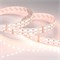 Лента RT-B144-19mm 24V RGBW-Day (32 W/m, IP20, 5060, 5m) (Arlight, -) 018144(2) - фото 117461