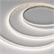 Лента MICROLED-M320-8mm 24V Day5000 (8 W/m, IP20, 2216, 5m) (Arlight, 130 лм/Вт) 047862 - фото 119638