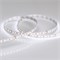 Лента MICROLED-M240-8mm 24V White-CDW (9.6 W/m, IP20, 2216, 5m) (Arlight, Открытый) 024507(2) - фото 122888