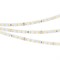 Лента RT 2-5000 24V Day4000 1.6x (2835, 490 LED, PRO) (Arlight, 10 Вт/м, IP20) 019914 - фото 127142