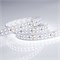Лента RT 2-5000 24V White6000 2x2 (3528, 1200 LED, LUX) (Arlight, 19.2 Вт/м, IP20) 008771(B) - фото 129140