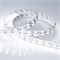 Лента RT 2-5000 24V Cool 8K 2x2 (5060, 600 LED, LUX) (Arlight, 28.8 Вт/м, IP20) 013756 - фото 129939