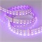 Лента RT 2-5000 24V RGB-White 2x2 (5060, 720 LED, LUX) (Arlight, 32 Вт/м, IP20) 011823(1) - фото 131233
