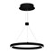 Светильник SP-CONGO-CAN-1-R400-24W Warm3000 (BK, 120 deg, 230V) (Arlight, IP20 Металл, 5 лет) 046217 - фото 132086