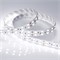 Лента RT 2-5000 24V White6000 2x2 (5060, 600 LED, LUX) (Arlight, 28.8 Вт/м, IP20) 011256(1) - фото 132329