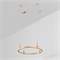 Трек ART-APRIORI-ROUND-HANG-R600 (GD) (Arlight, IP20 Металл, 3 года) 048472 - фото 132472