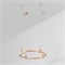 Трек ART-APRIORI-ROUND-HANG-R600 (GD) (Arlight, IP20 Металл, 3 года) 048472 - фото 132473