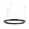 Светильник SP-CIRCLE-HANG-O3535-D600-35W Day4000 (RAL9005, 120 deg, 230V) IP40 LED (Arlight, Алюминий) 049361 - фото 136156